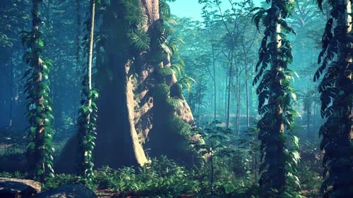 Majestic Tree Amidst Dense Forest