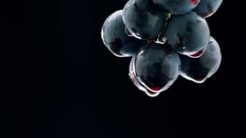 Trauben Close Up Loop Motion Taste Luxus-Trauben Kreative Weinrebe