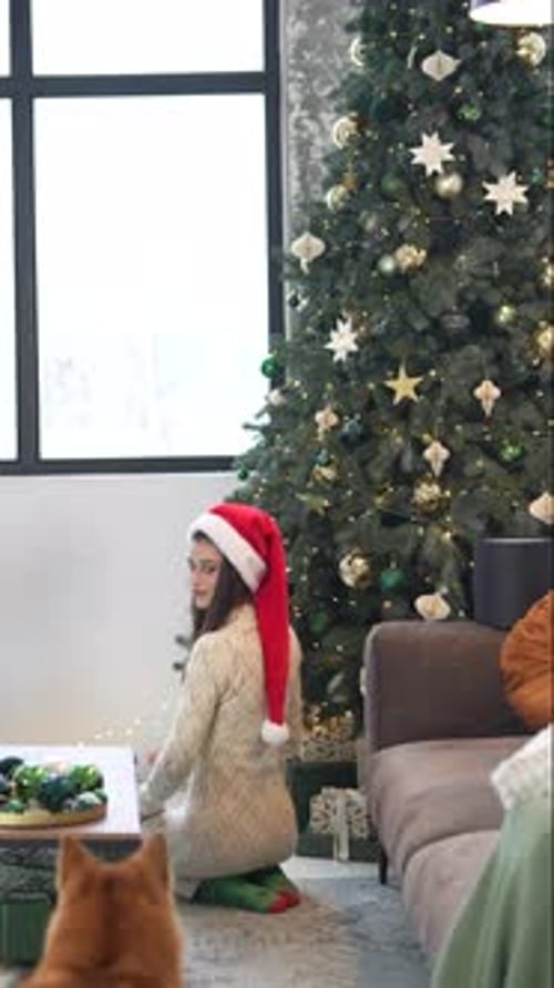 Beside the Christmas Tree a Girl Engages in Playtime with Her Dog
