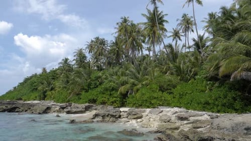 Ultra slow motion shot of rocky shore with palm trees and clear blue water at Asu Island, North Suma
