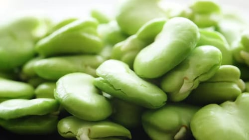 Green Beans Closeup
