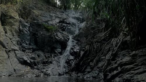 Closeup Slow Motion Shot of Small Waterfall in the Tropical Rainforest Jungle of Philippines Small
