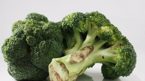 Fresh Green Broccoli Heads Rotating