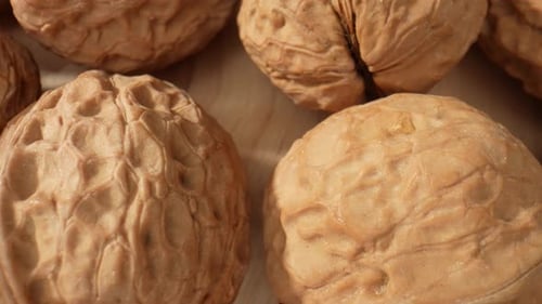 Walnuts in stunning macro close-ups