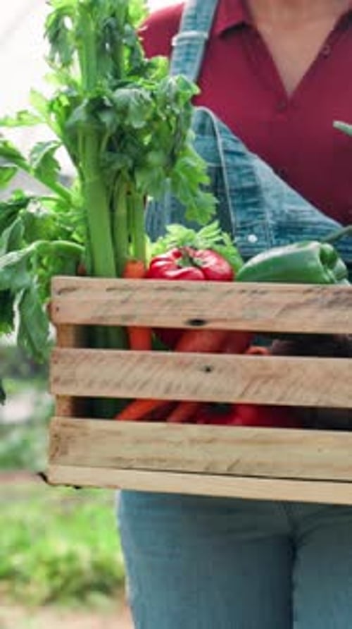 Woman Farmer Holding Fresh Vegetables in Greenhouse