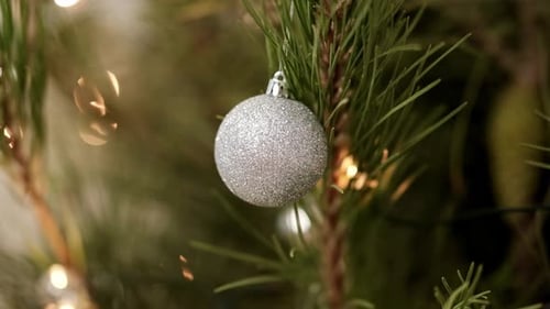 Silver Christmas Ornament Hanging on Pine Tree Branch