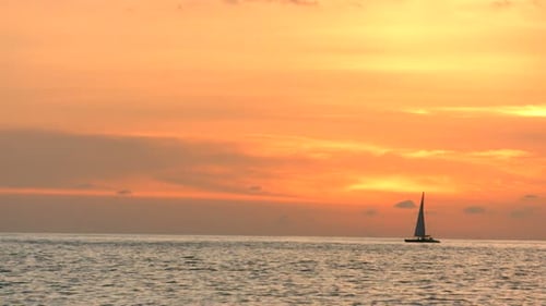 Sailboat on the Ocean at Sunset Back