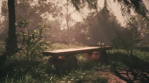 Forest Bench with Ethereal Sun Rays and Fog