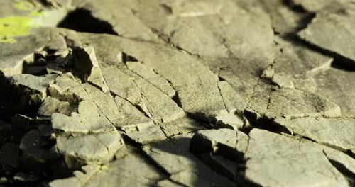 Slow Moving Close-Up Shot of Natural Rock Texture