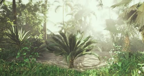 Lush Green Tropical Forest with Mist and Vibrant Vegetation in Sunny Weather