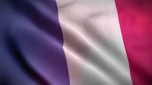 Waving French Flag with Realistic Fabric Texture