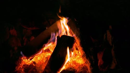 Fire Pit
