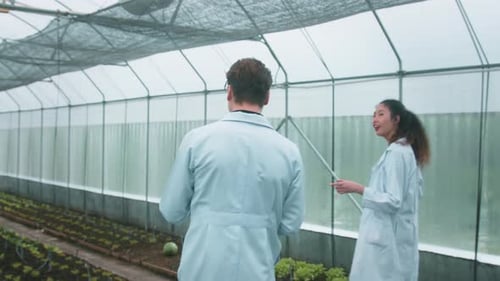 Scientists Discussing Research in Greenhouse With Plants