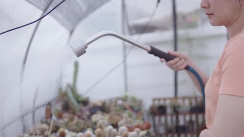 Gardener Watering Plants in a Greenhouse