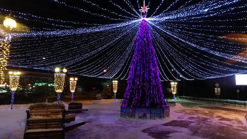 Christmas Tree in the Park