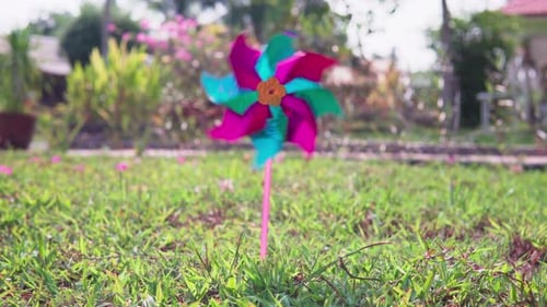Toy pinwheel spinning in a garden