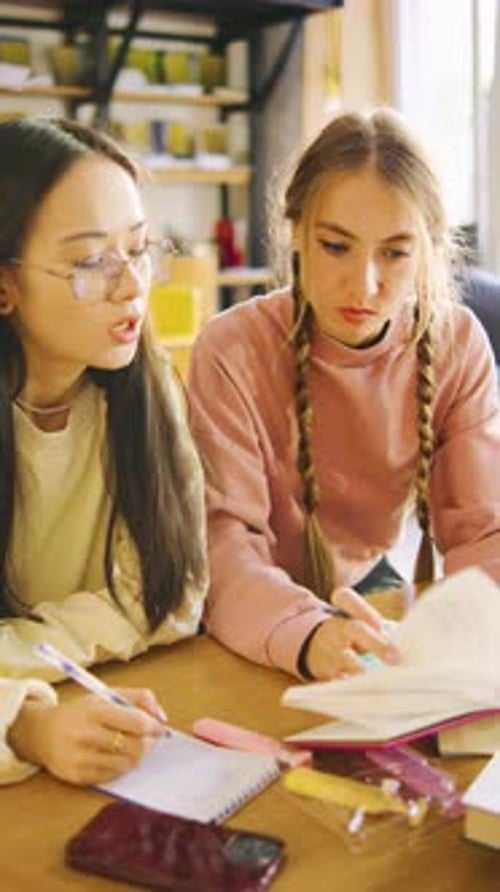 Vertikales Video von zwei gemischtrassigen Studentinnen, die während einer