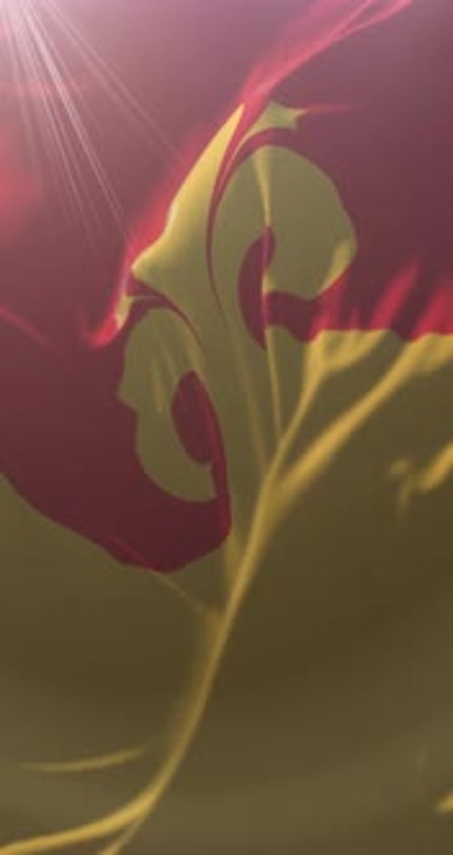 Waving Flag with Ornate Yellow Symbol Loop