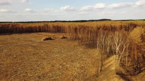Aerial view of deforested garden, Charlottenburg Palace, Berlin, Germany.
