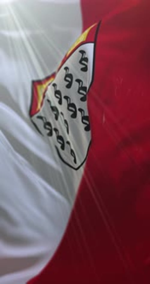 Realistic Waving Cologne City Flag Vertical Video