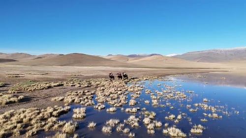 Eagle Hunters Beside Lake