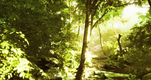 Vibrant Greenery in a Dense Forest with Sunlight Filtering Through Leaves
