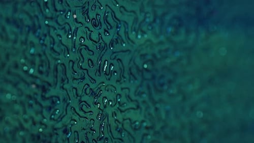 Blurred Blue Abstract Background