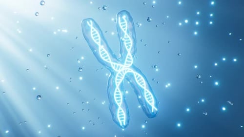 Rotating 3D Chromosome and DNA Helix Animation