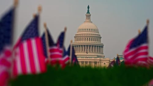 American Flags and US Capitol Building on Lawn