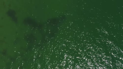 Aerial top down view from high altitude of green sea water texture. The camera flies over the water,