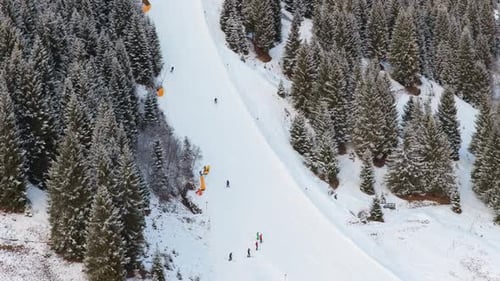 Static Aerial View of People Skiing Down a Snowy Slope Through a Dense Pine Forest During Winter