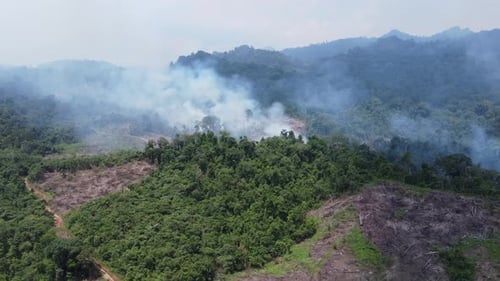 Aerial view of forest fires or forest burning to clear land in the mountainous areas of Kalimantan