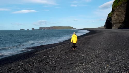 Explore Reynisfjara Black Sand Beach in Iceland on a Sunny Day