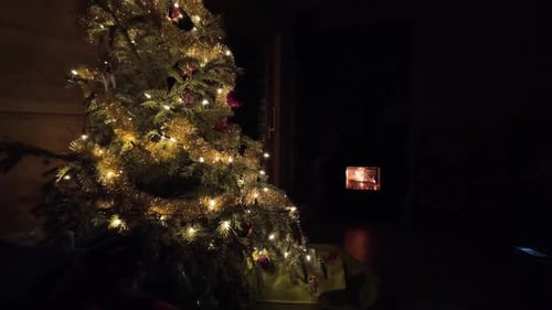 Christmas Tree and Fireplace at Night in a Home