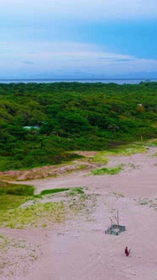 Paradise Island Pristine Paradise Island Tropical Rainforest Parana Brazil Paradise Island