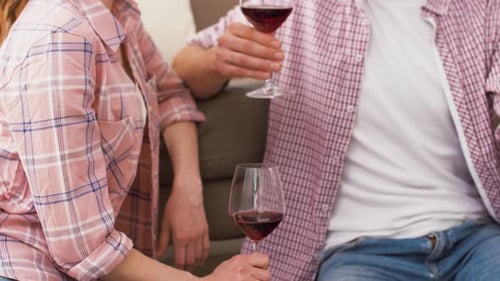 Couple Drinking Wine Together at Home on Sofa