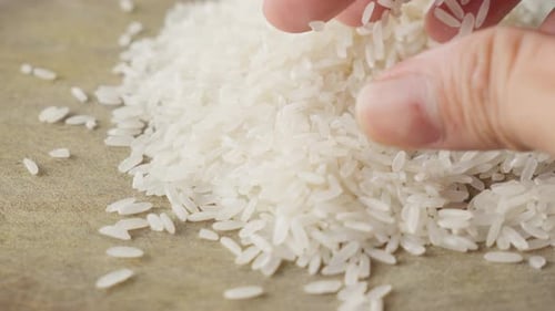 Hand gently touching and sorting white rice grains on a flat surface, close-up