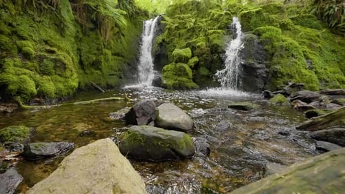 Forest stream and water flowing over moss covered rocks in woodland