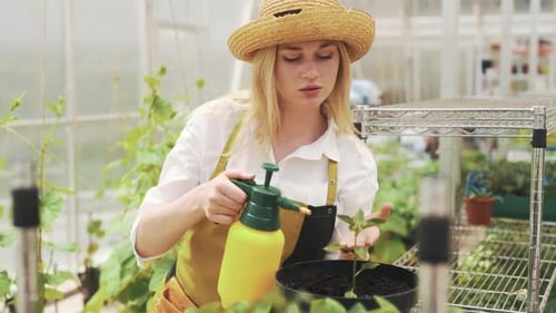 Portrait of female farmer watering plants with sprayer on greenhouse background