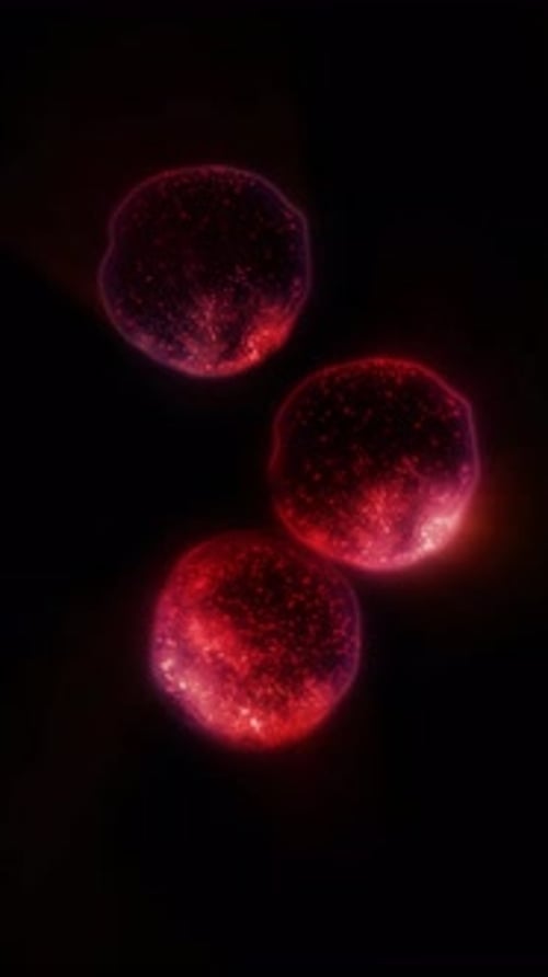 Abstract Red Glowing Spheres Multiplying Animation