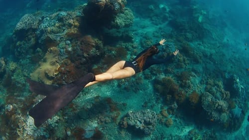 Woman Freediver on Reef Young Female Freediver Swims Underwater and Explores the Healthy Coral Reef