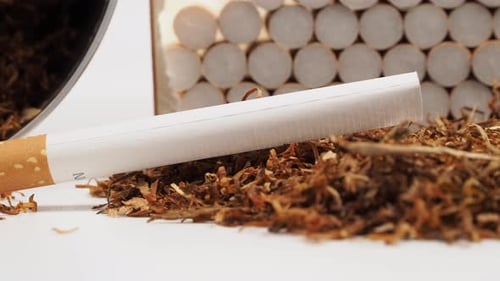 effects of tobacco on teens Know the facts about nicotine this #nationalpreventionweek effects of tobacco on teens Know the facts about nicotine this #nationalpreventionweek