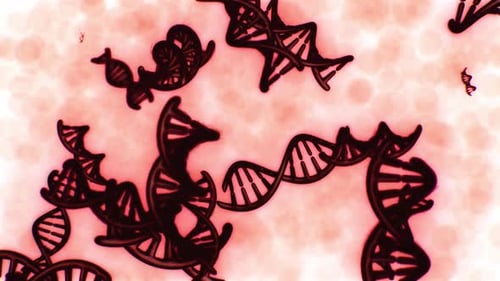 Animated DNA Strands and Blood Cells Abstract Loop
