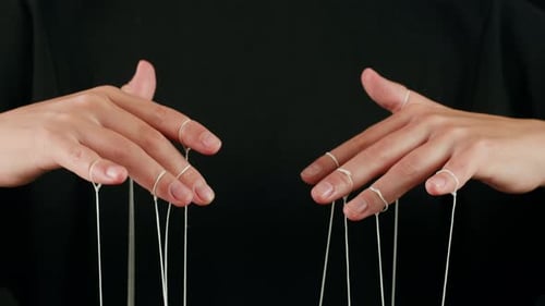 The Puppeteer Controls the Puppets in the Theater Managing People at Work in Politics and Government