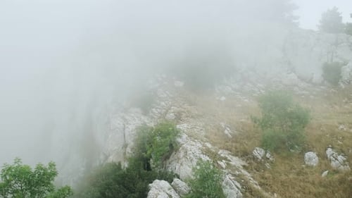 Mountain landscape. Stone rock on top of a mountain in fog with coniferous trees