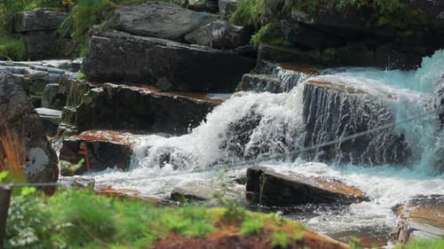 Wild trout climbs upstream on the cascade at the Tvindefossen waterfall, Norway. Slow-motion, pan fo