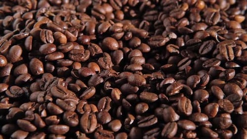 Coffee Beans Background Texture of Coffee Beans Close Up Dark Brown Roasted Coffee is Spinning