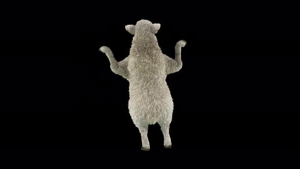 99 Tut Hip Hop Dance Sheep 4K , Motion Graphics Incluyendo: 3d y alfa ...