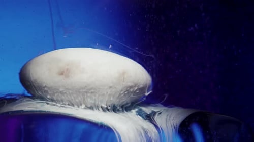 Abstraction, bonbon ou comprimé se dissout sous l'eau et se répand avec des peintures colorées.