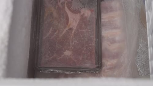 Person putting meat package inside freezer. Close up